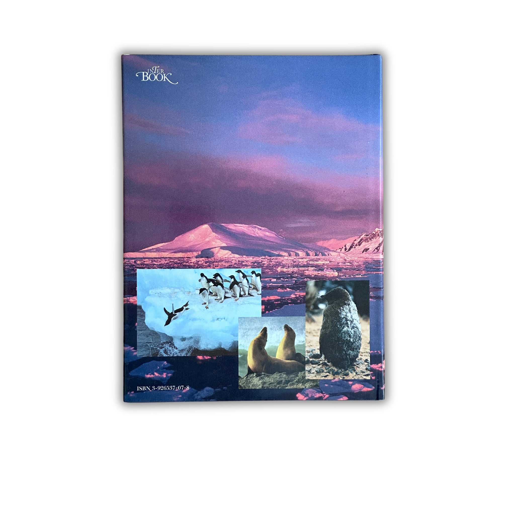 Buch - Jim Snyder/Keith Shackleton - Schiff in der Wildnis - 2