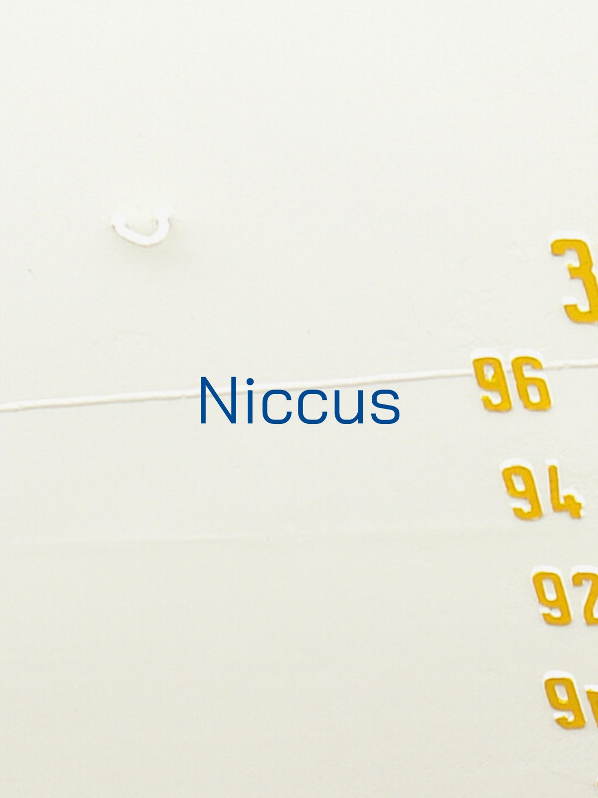 Kollektion Niccus
