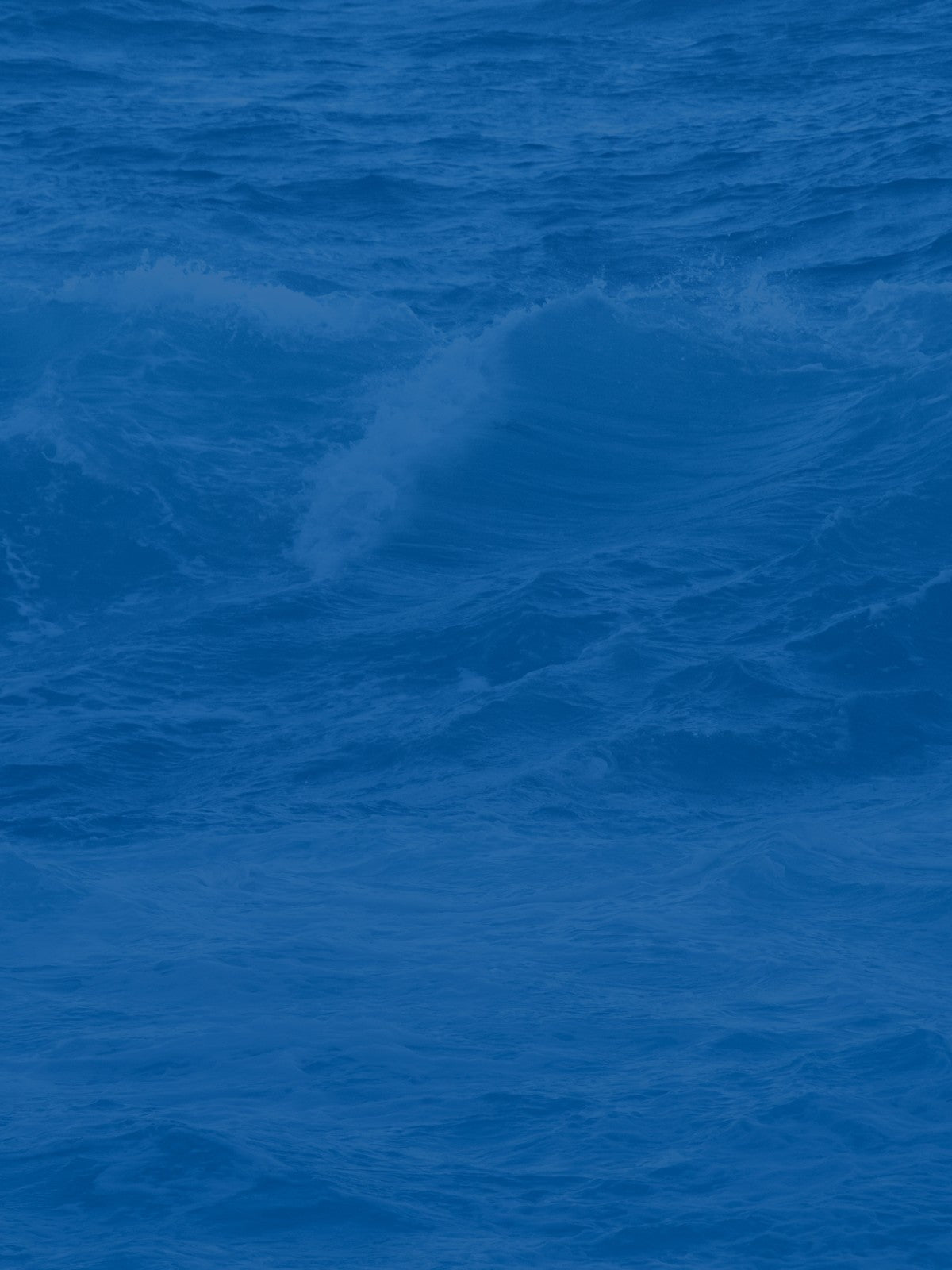 Web Hintergrundbild - Kontaktseite